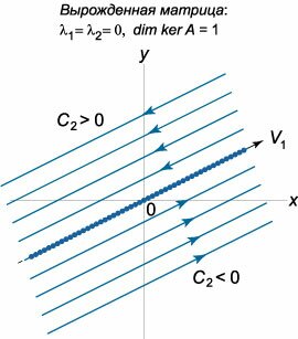 фазовый портрет в случае вырожденной матрицы, lambda1=lambda2=0